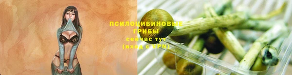 крисы Краснотурьинск