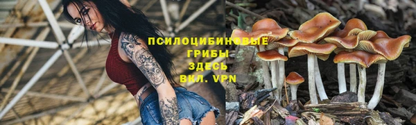 марки nbome Краснослободск